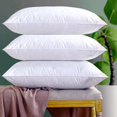 Vacuum Packed Filled Pillows